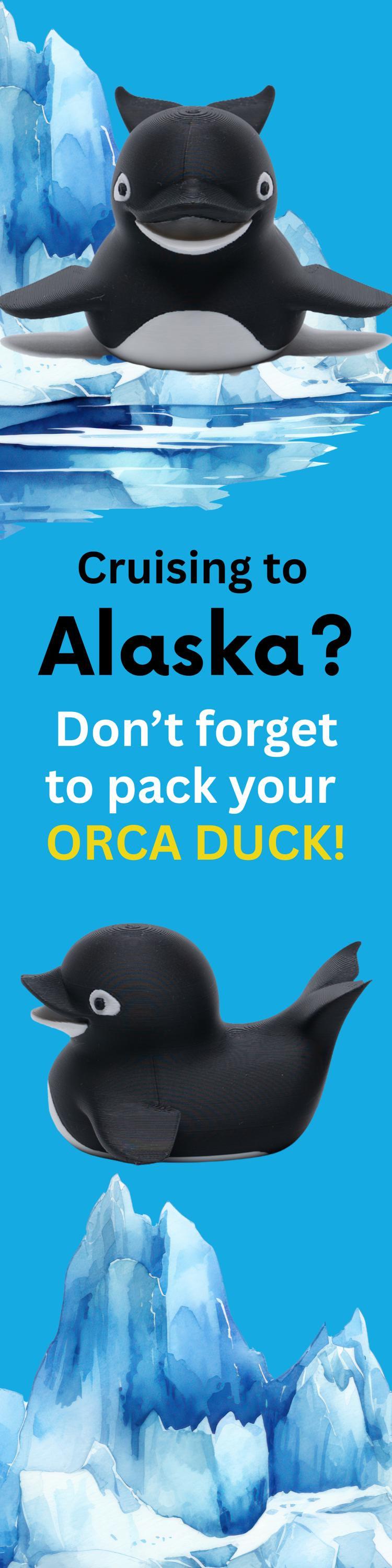 Orca Duck - Cruise Hide Seek Game Gift Bon Voyage Present Alaska Souvenir Ocean Wildlife Killer Whale