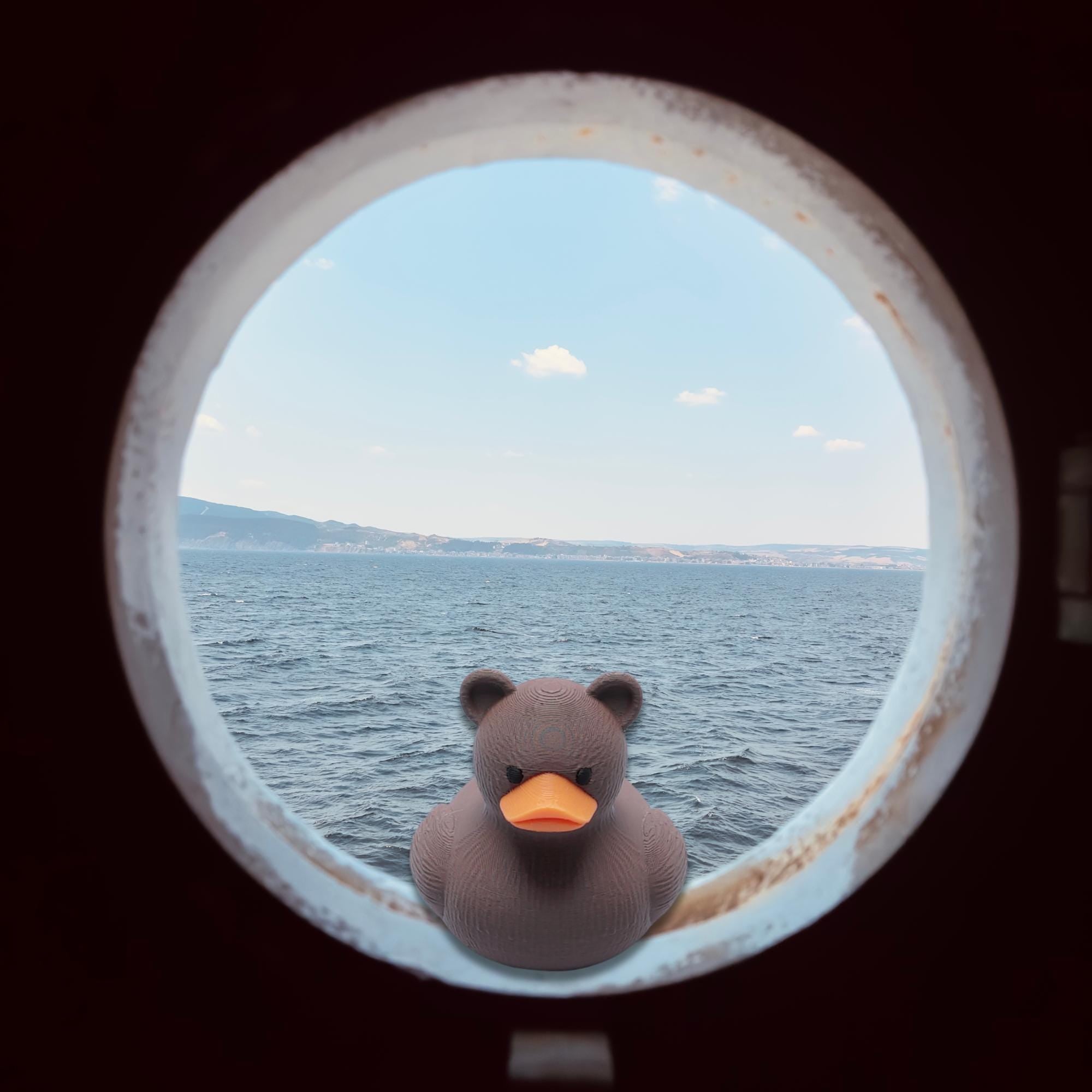 Bear Duck | 4x4 Ducking & Cruise Hide & Seek Gift, Woodland Party Favor & Alaska Souvenir