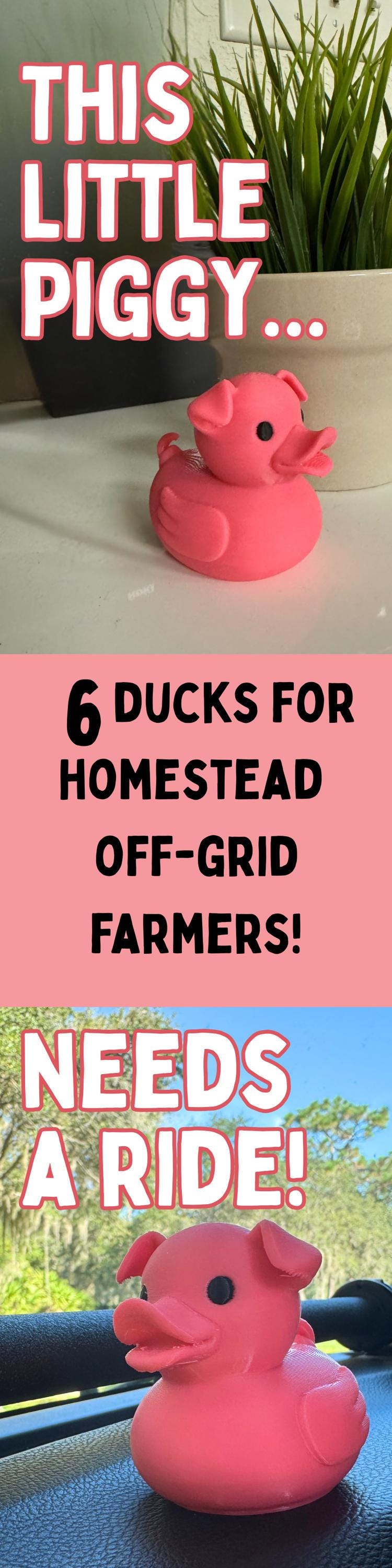 Pig Duck - Farm Animal Gift & 4x4 Ducking Dashboard Decoration Country Party Favor Cruise Hide Seek