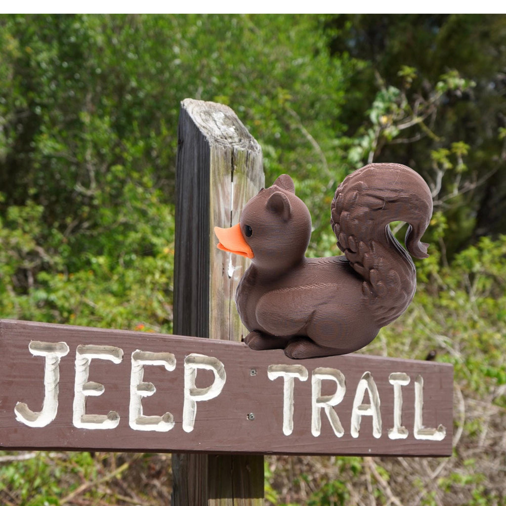 Squirrel Duck - 4x4 Ducking Gift Dashboard Decoration Woodland Animal Nature Theme Cabin Decor Trail Rider