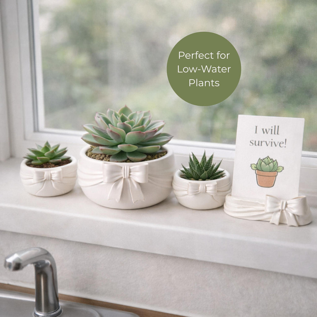 Bow Ribbon Home Decor Set | Table Centerpiece, Photo Holder & Organizer