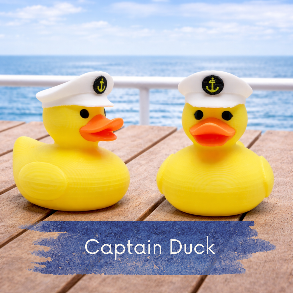 Alaska Cruise Duck Kit | 6 Wilderness-Themed Ducks, Hide & Seek Game & Vacation Souvenir