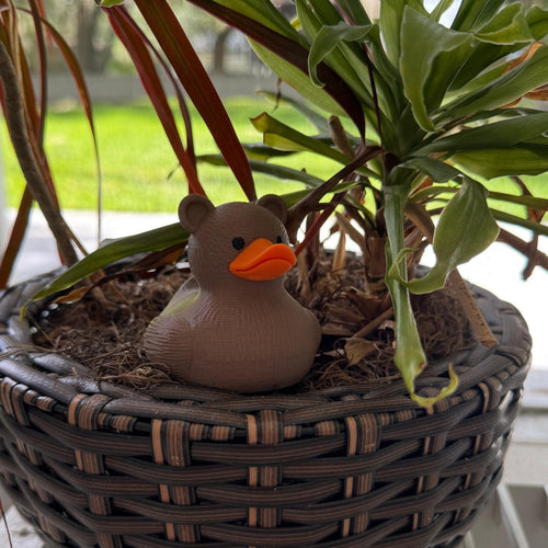 Bear Duck | 4x4 Ducking & Cruise Hide & Seek Gift, Woodland Party Favor & Alaska Souvenir