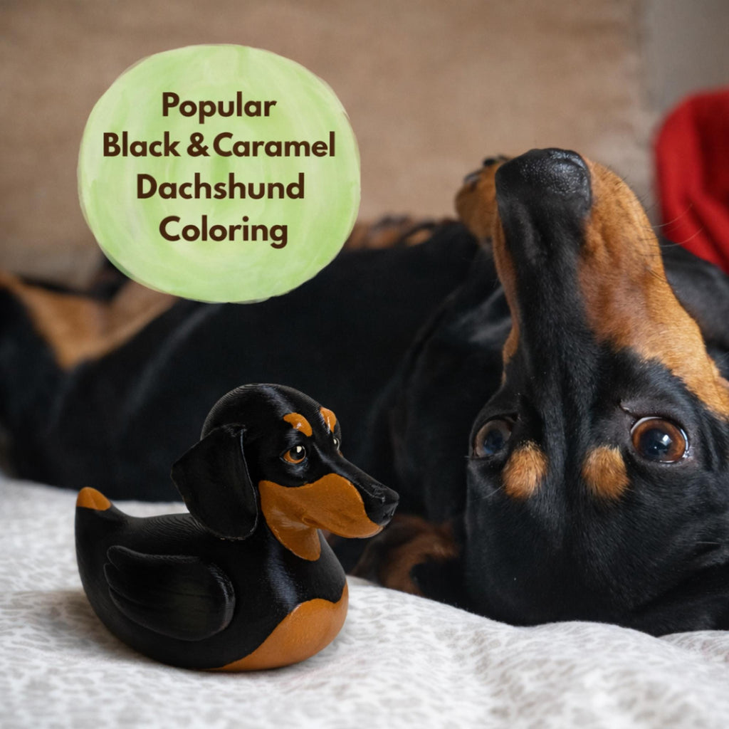 Dachshund Duck Cruise Collection Hide Seek Ducking Party Favor Gifts Him Birthday Present Dog Enthusiast Toy Breeder Thank You Vet Office