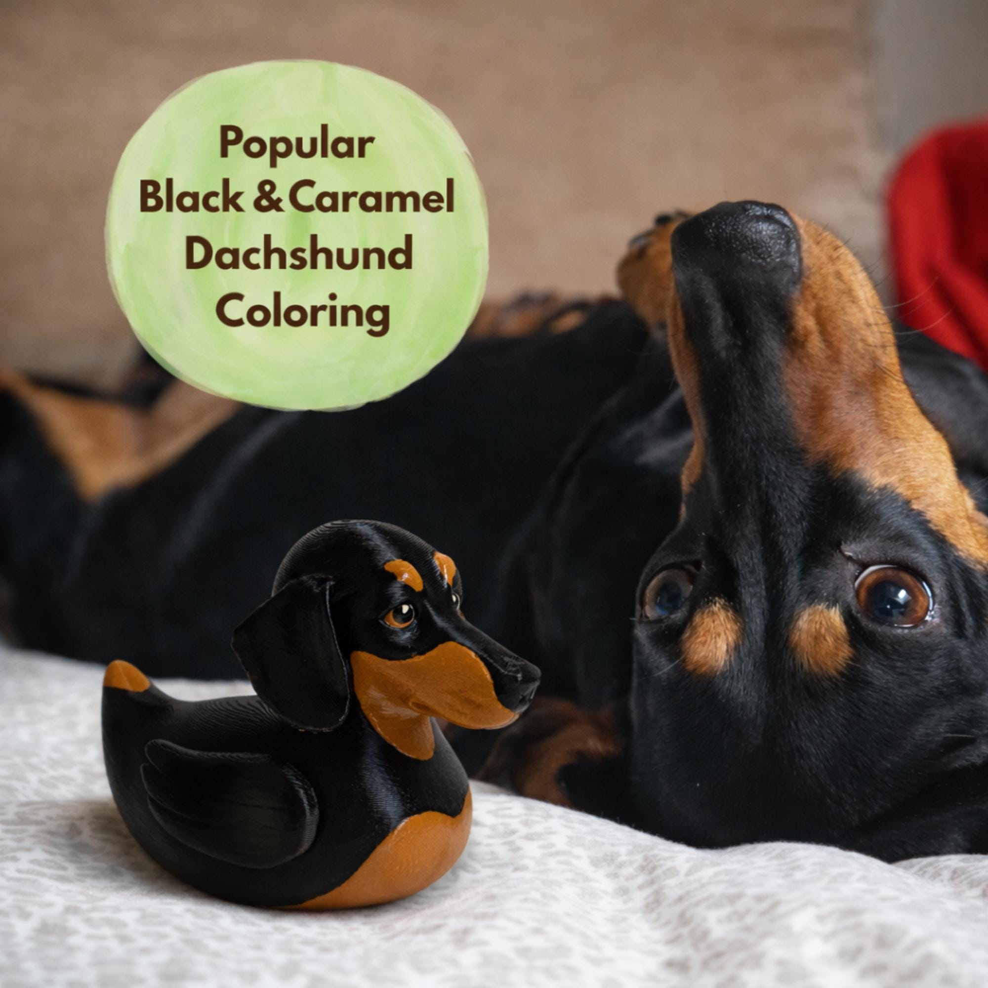 Dachshund Duck Cruise Collection Hide Seek Ducking Party Favor Gifts Him Birthday Present Dog Enthusiast Toy Breeder Thank You Vet Office