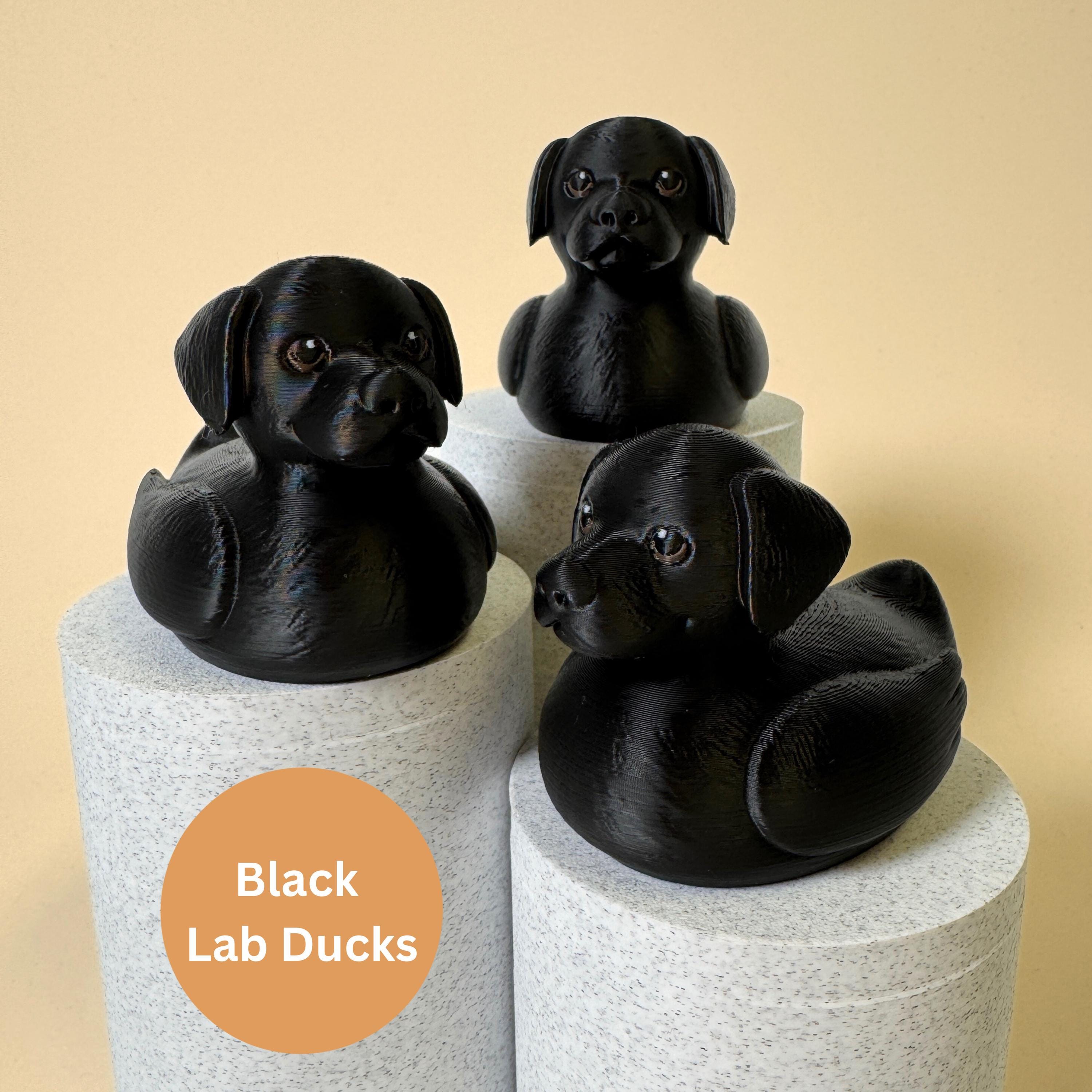 Labrador Cruise Duck Hide Seek Jeep Ducking Party Favor Gifts Him Birthday Present Bon Voyage Travel Enthusiast Gift Idea Chocolate Lab