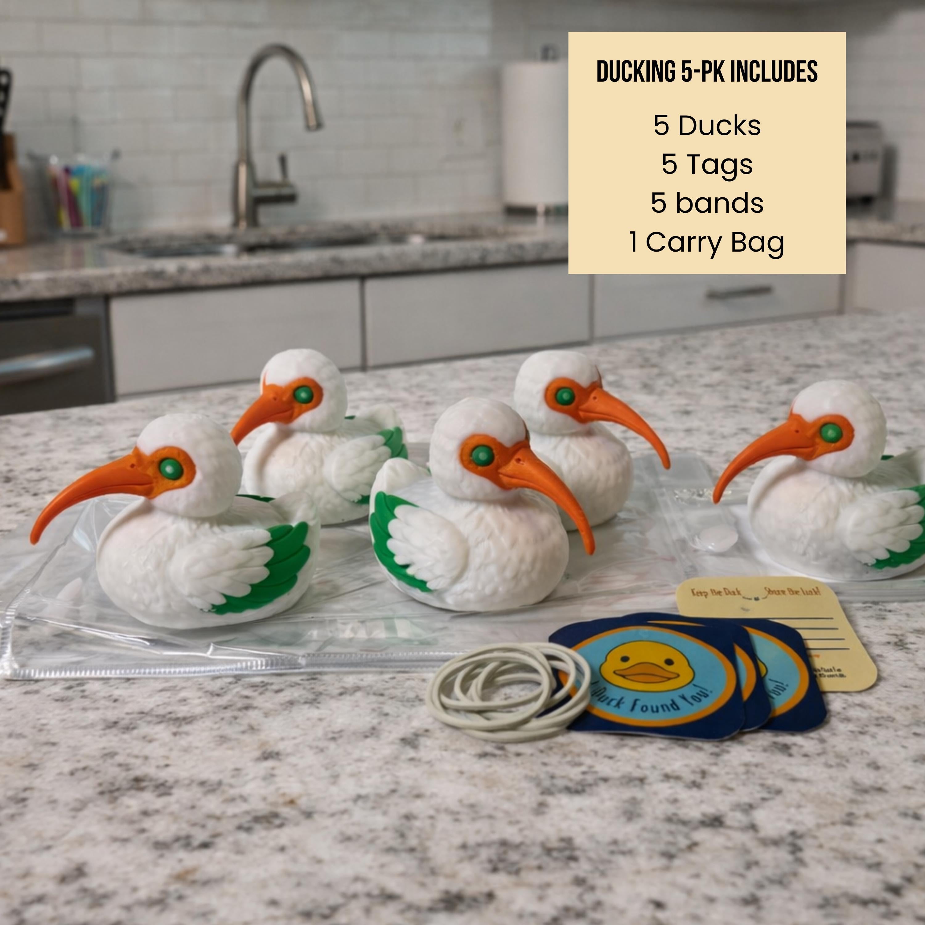 Canes Ibis Duck Gift Hurricanes Fan University Football Team Duck Ibis Mascot Dashboard Ornament Car Decoration Graduation Present Miami