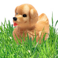 Golden Retriever Duck Cruise Collection Hide Seek Ducking Party Favor Gifts Him Her Puppy Gift Dog Enthusiast Cute Toy Collectible Item