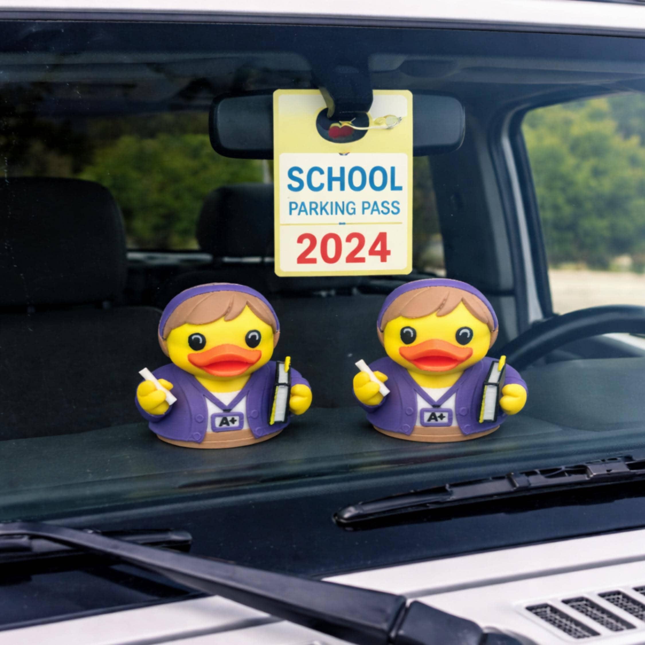 Teacher Duck | Teacher Appreciation Gift, Classroom Decor, 4x4 Ducking & Cruise Hide & Seek