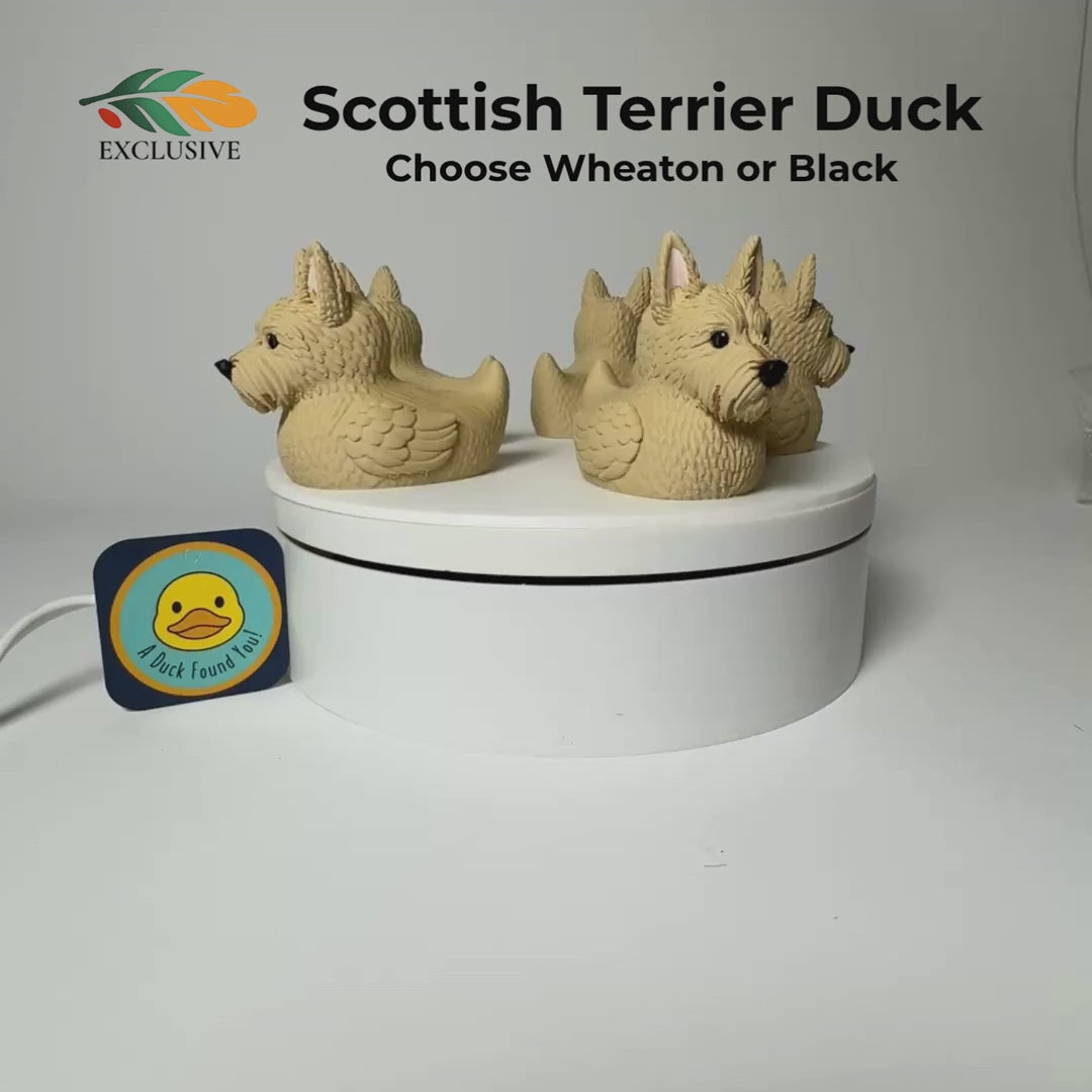 Scottish Terrier Figurine – Dashboard Duck Cruise Souvenir