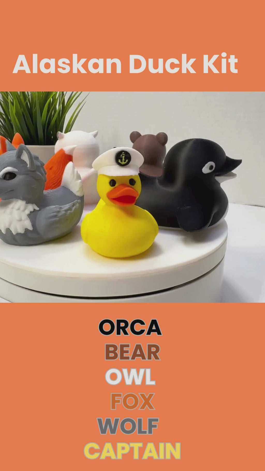 Bear Duck | 4x4 Ducking & Cruise Hide & Seek Gift, Woodland Party Favor & Alaska Souvenir