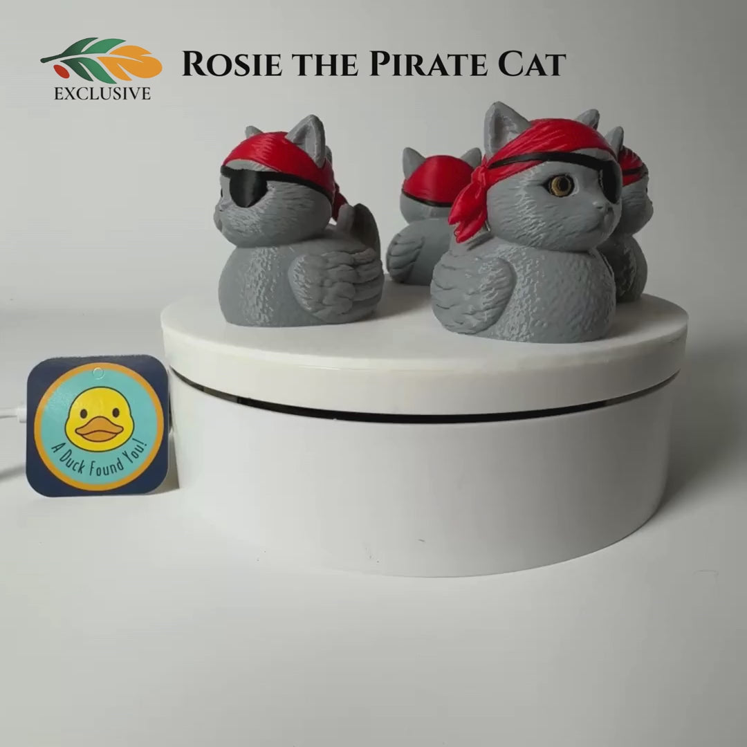 Cruise Ducking Duck – Pirate Cat Kitty Token for Cruise Ship Games