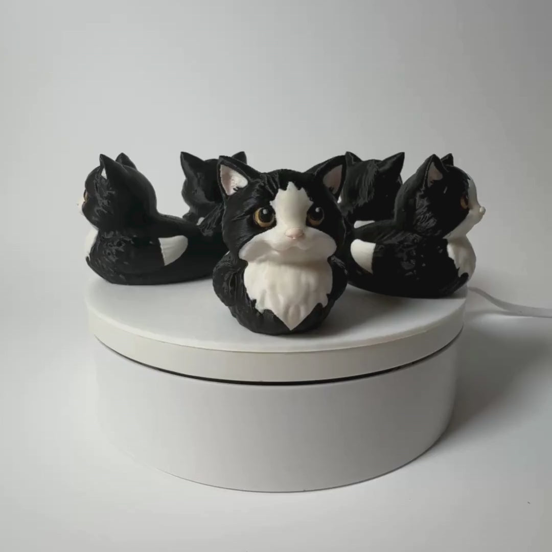 Tuxedo Cat Duck - 4x4 Ducking Gift Dashboard Decoration Cruise Hide Seek Cat Lover Gift Black White Kitty