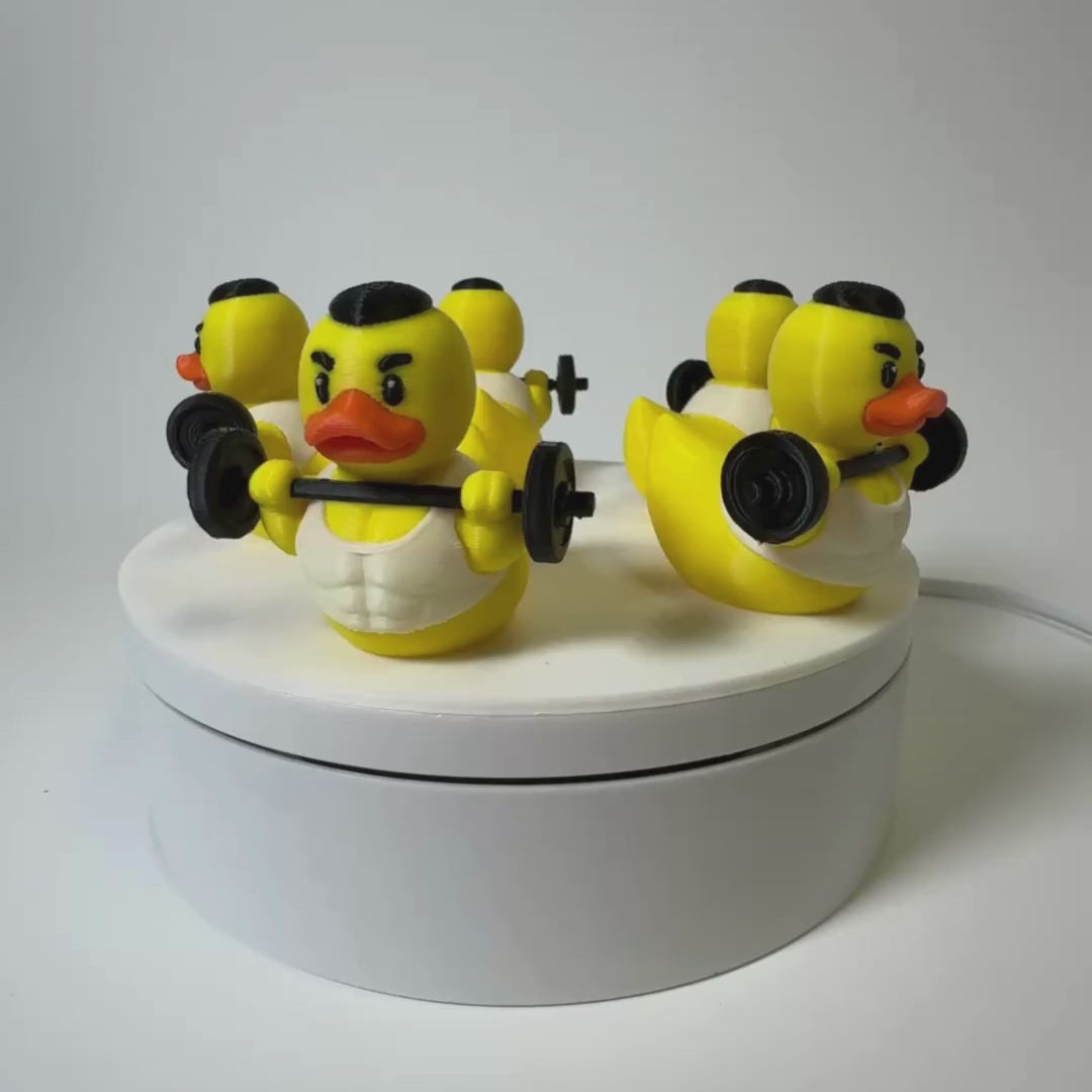Weightlifting Duck | Gym Rat Gift, Fitness Birthday Present, Desk Decor & 4x4 Ducking Accessory