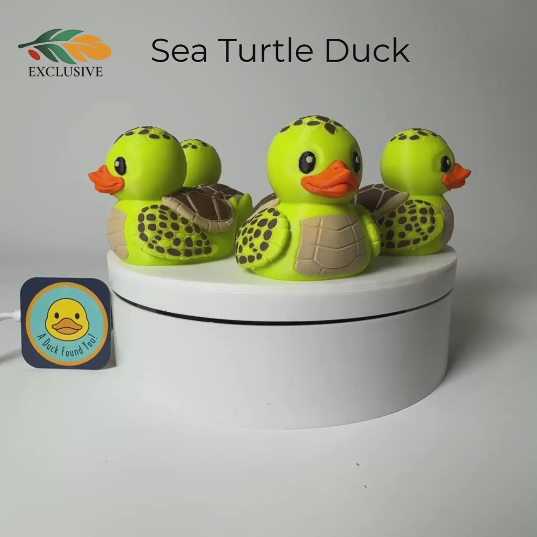 Sea Turtle Duck – Dashboard Buddy Beach House Gift Collectible