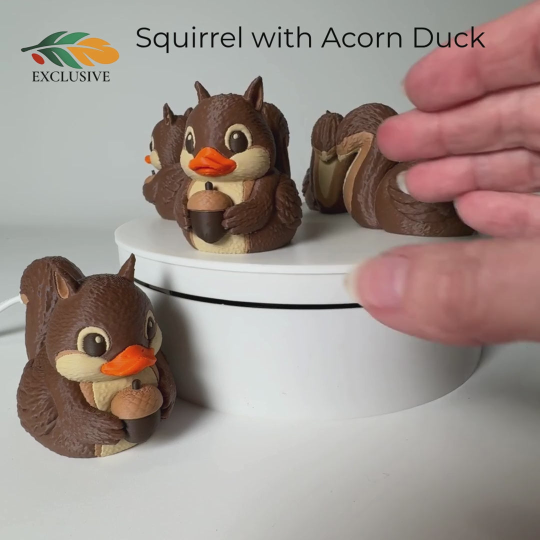 Squirrel Duck Gift – Woodland Ornament for 4x4 and Cruise Ducking