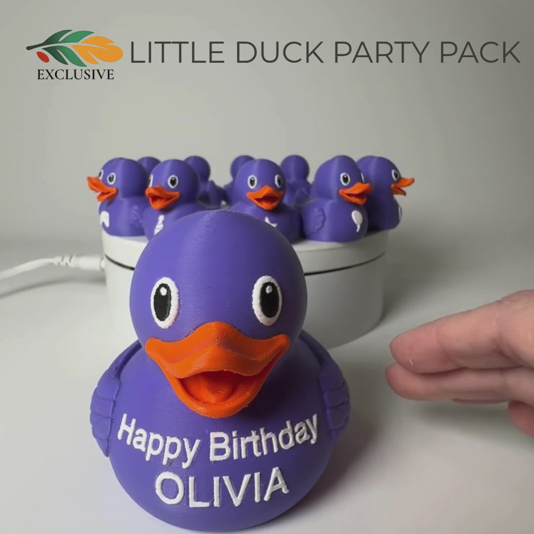 4x4 Ducking Gift – Set of 12 Custom 3d Printed Little Ducks with Travel Bag